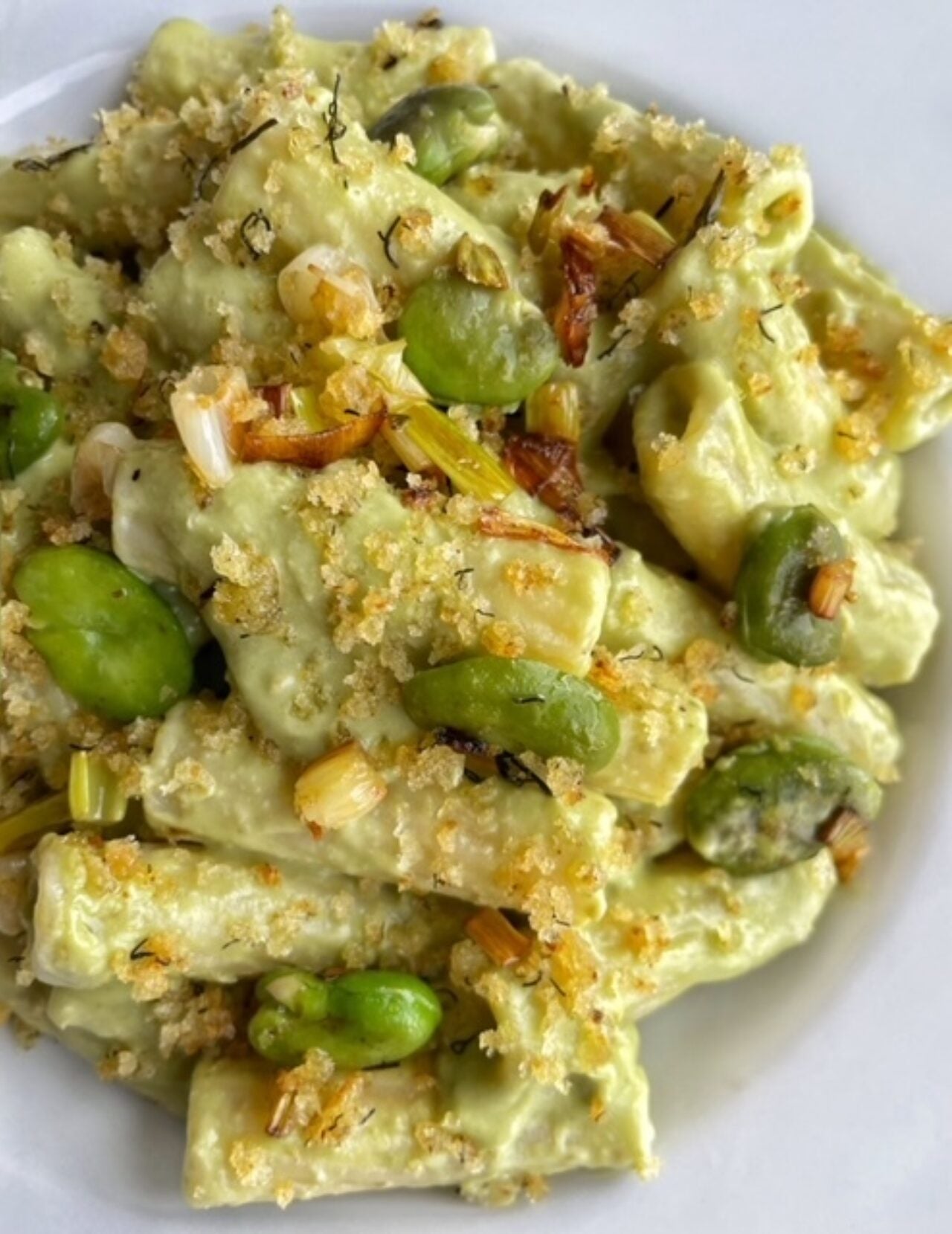 Tortiglioni in crema di fave e pecorino con cipolletta e pane croccante.