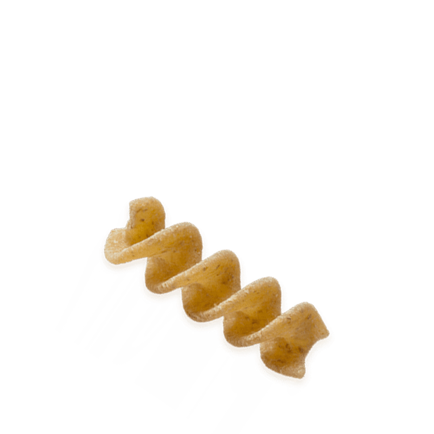 IL FUSILLO INTEGRALE BIO