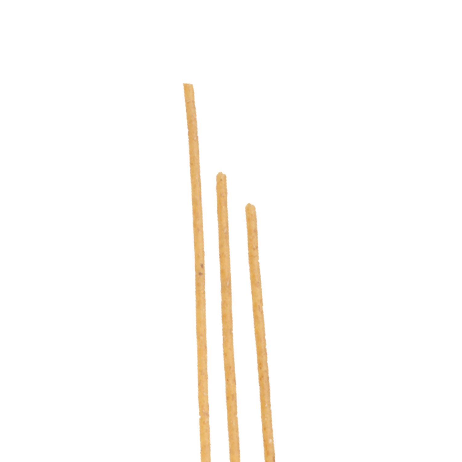 LO SPAGHETTO INTEGRALE BIO