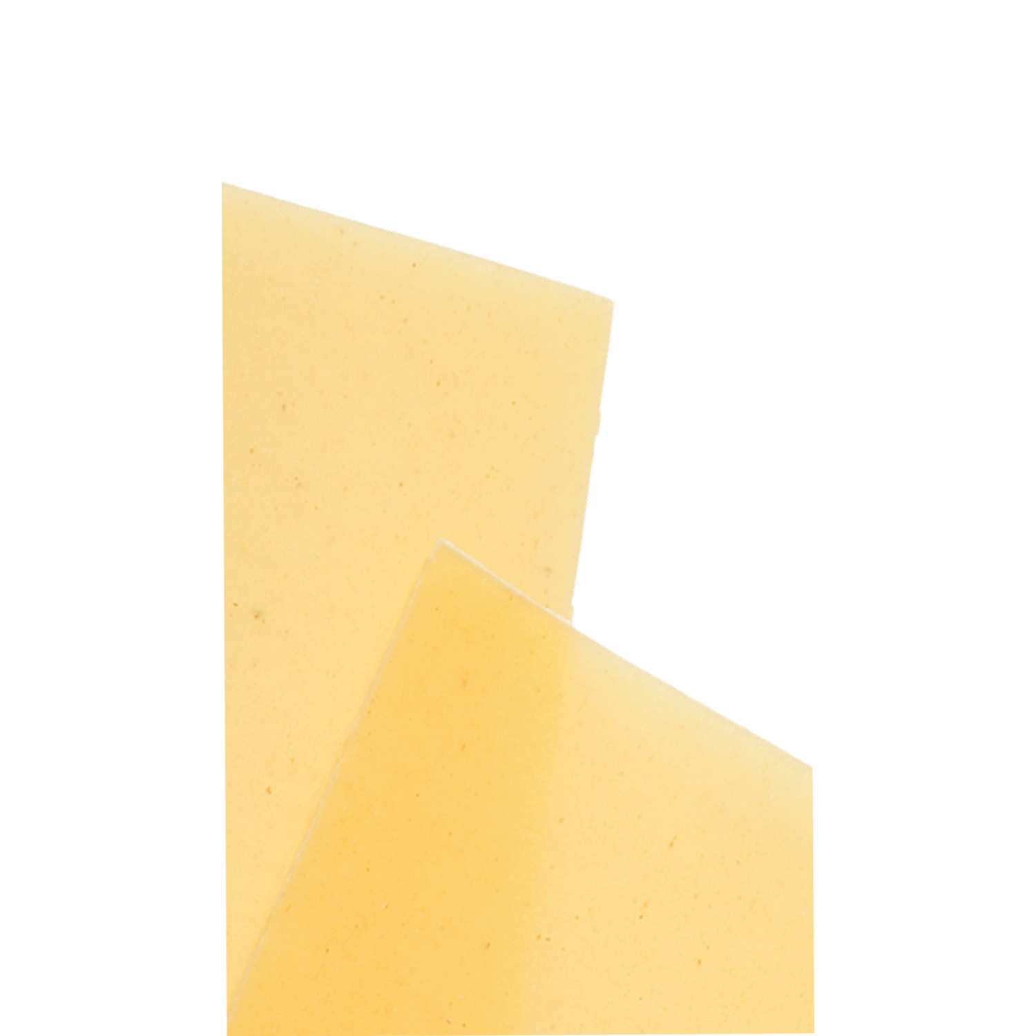 LA LASAGNA