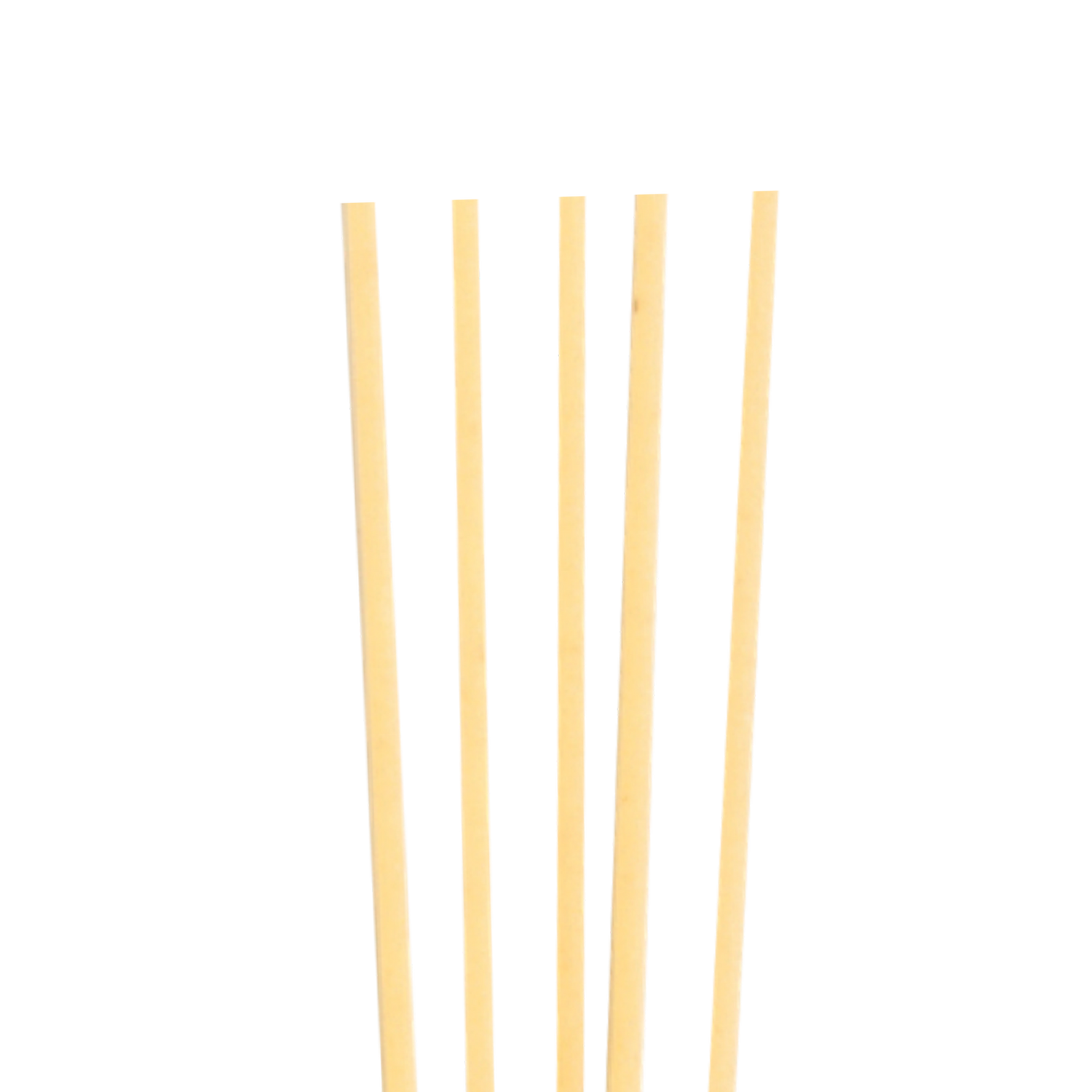 SPAGHETTONE