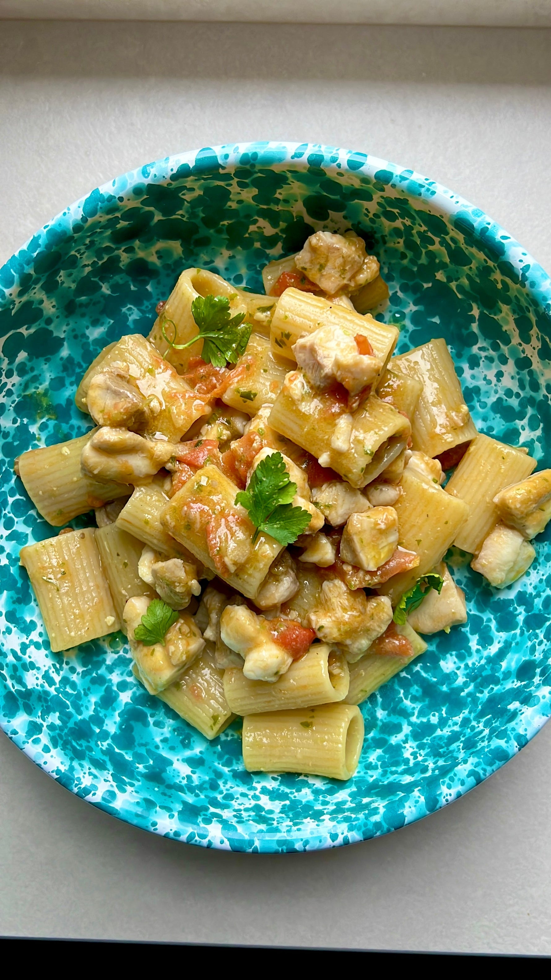 Mezza Manica con Palombo