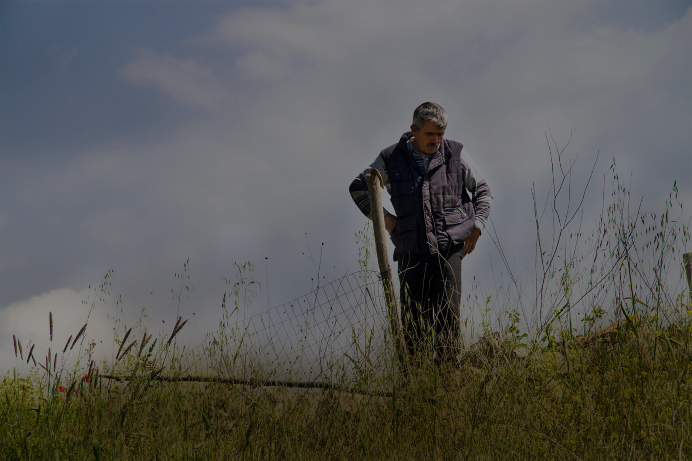 agricoltore osserva la terra in un campo