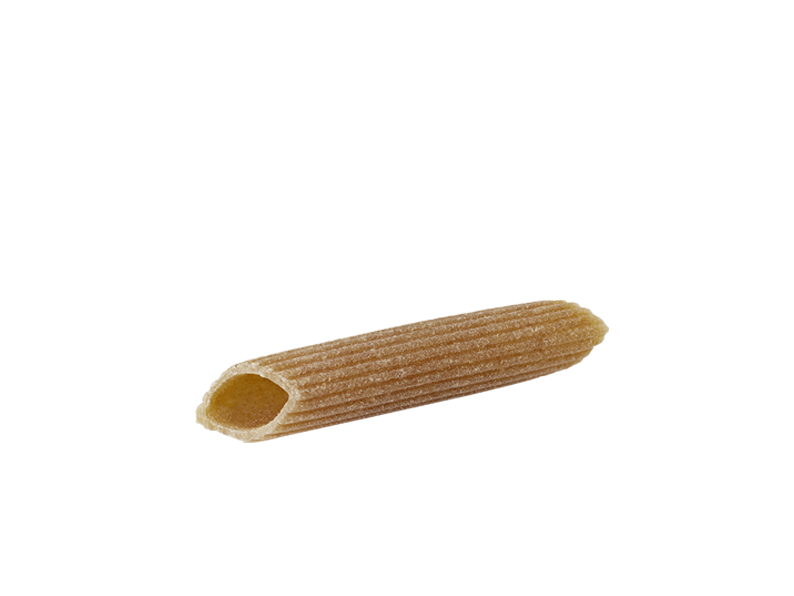 Penna rigata